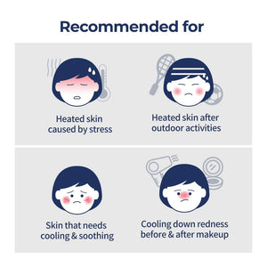 No.4 Icy Soothing Sheet Mask1 ea