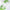 Abib - Heartleaf TECA Capsule Serum Calming Drop
