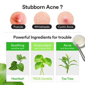 Abib - Heartleaf Calming Spot patch