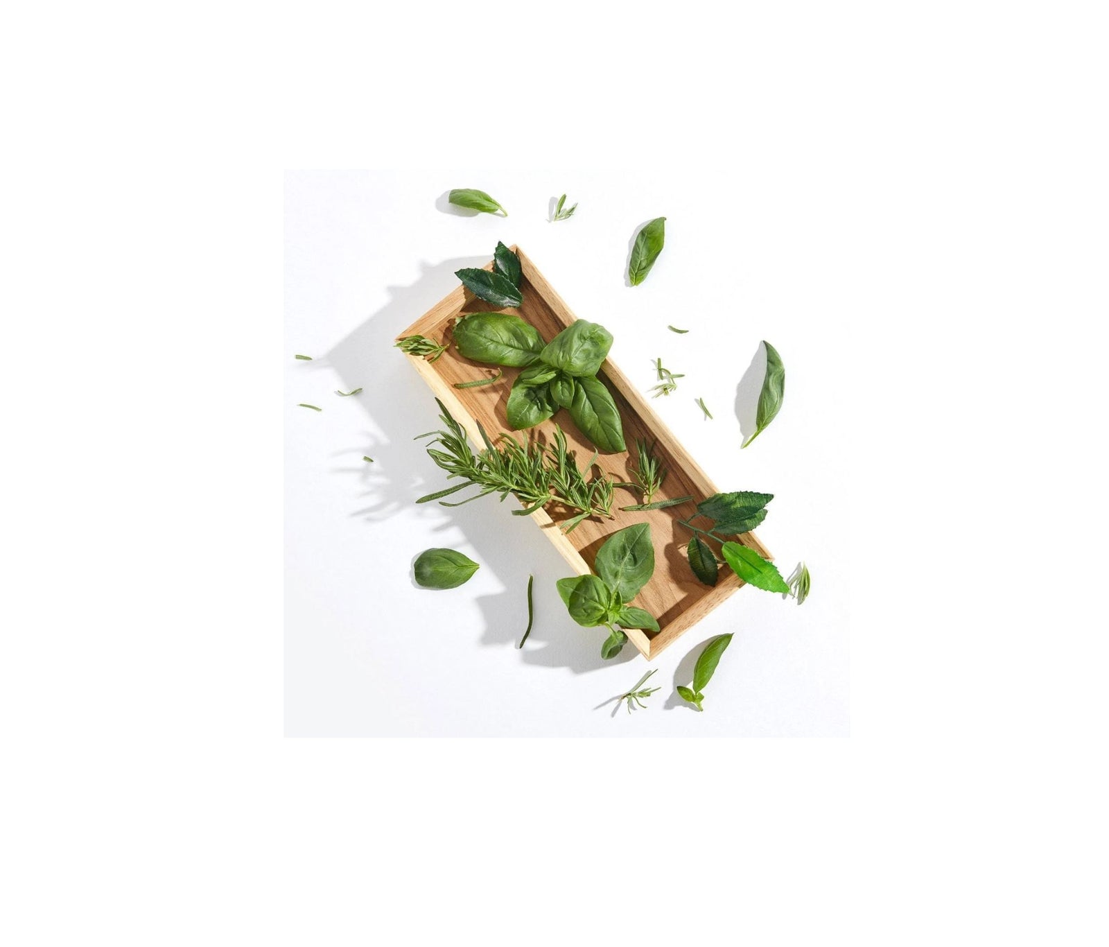 Rosemary Active V Anti-Hair Loss Tonic 100ml