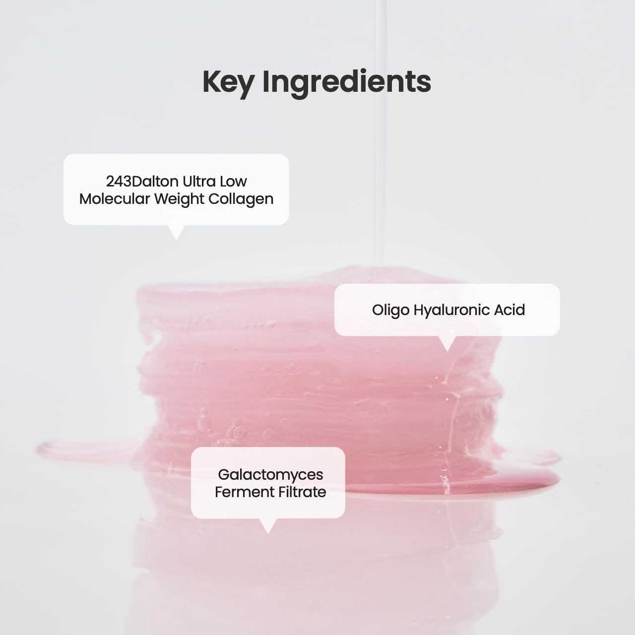 Biodance - Collagen Gel Toner Pads