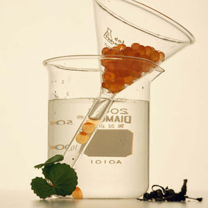 Salmon PullKeratin Centella Hair Shampoo 500ml