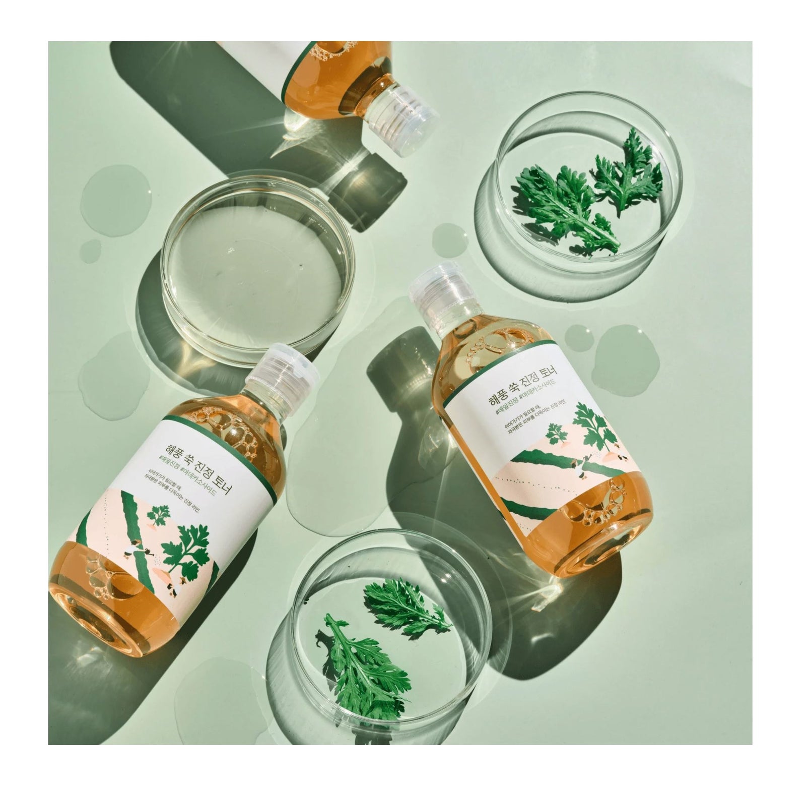 Mugwort Calming Toner 300ml