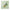 Premium Centella Asiatica Serum - Bellbees