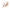 Mask Fit Cushion - 3 Colors - Bellbees