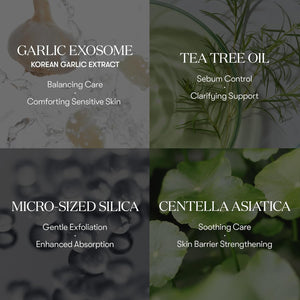 VT - Garlic AC Reedle Shot Point Patch - 9 Patches