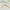 Goodal - Vegan Rice Milk Moisturizing Cream 70m - Bellbees