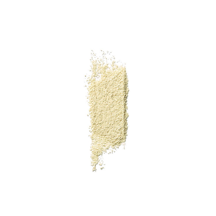 YUNJAC - Whole Plant Effect Daily Foam & Exfoliant 2g*30ea