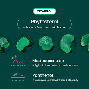 beplain - Cicaterol Moisturizer