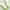iUNIK Centella Calming Gel Cream 60ml