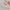 iUNIK Beta glucan daily moisture cream 60ml