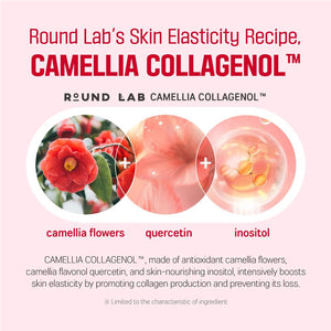 Camellia Deep Collagen Firming Cream 50ml