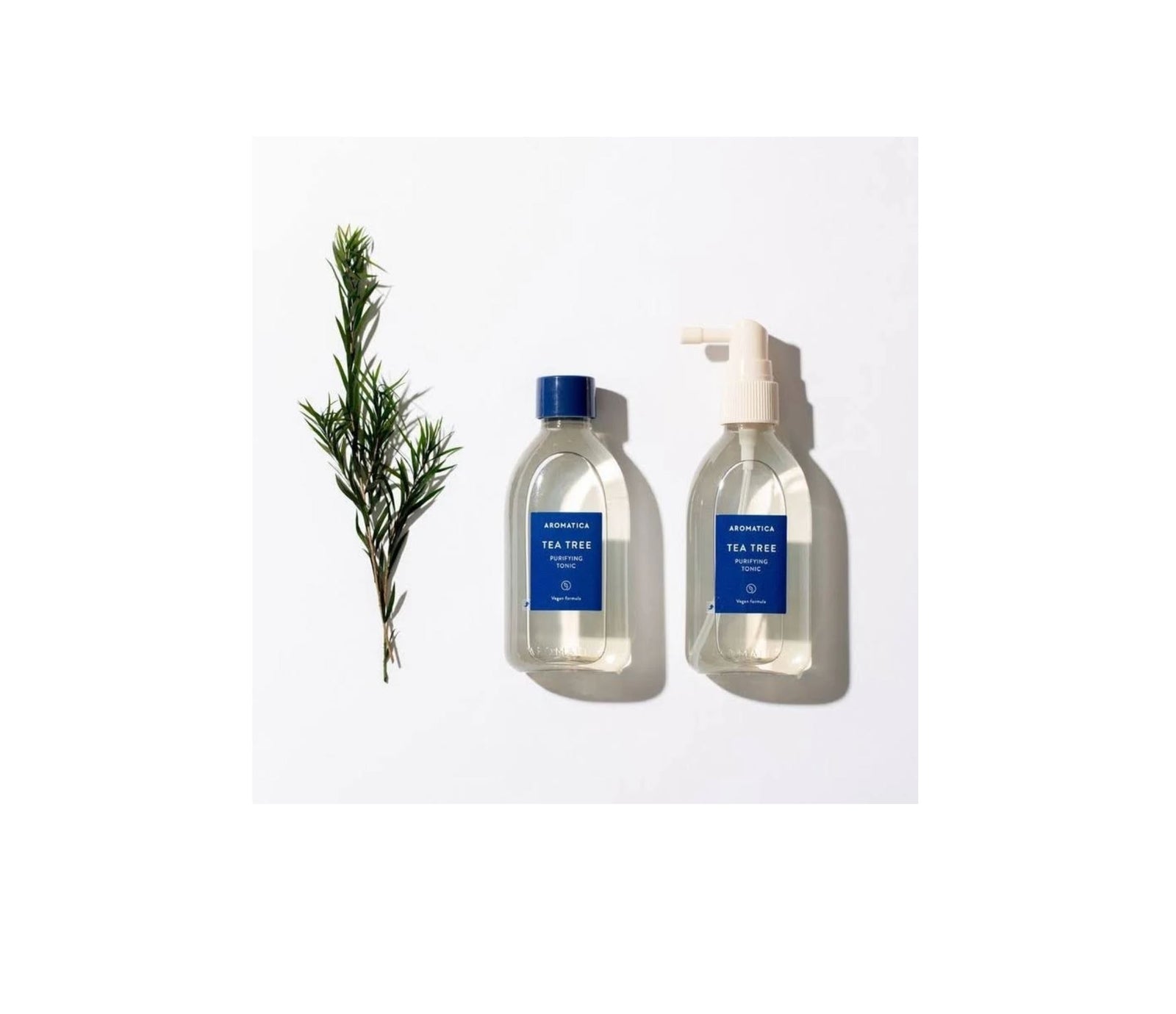 Tea tree Purifying Tonic 100ml