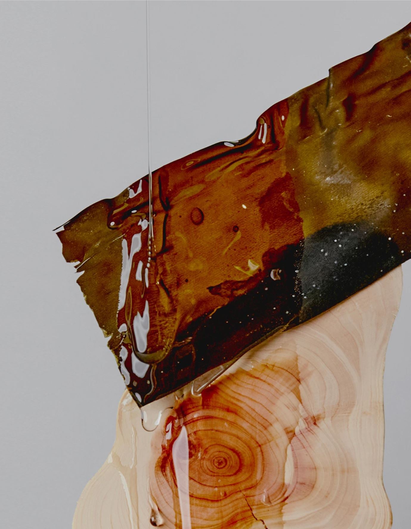 Hair Soap S18 Tangleweed Extract 85g