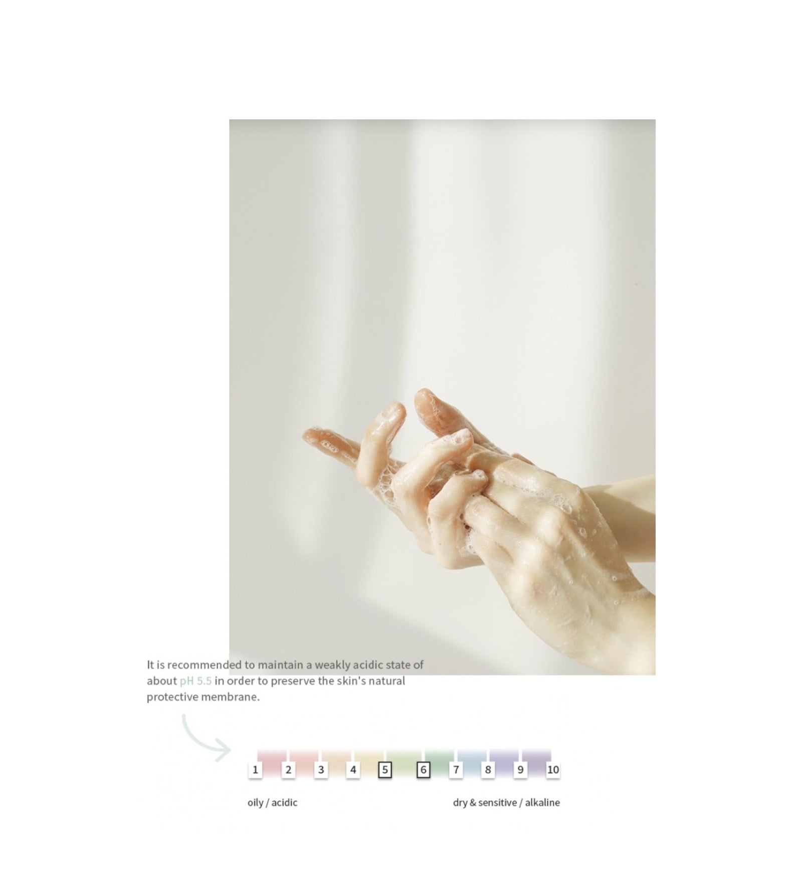 Green Plum Refreshing Cleanser 100ml