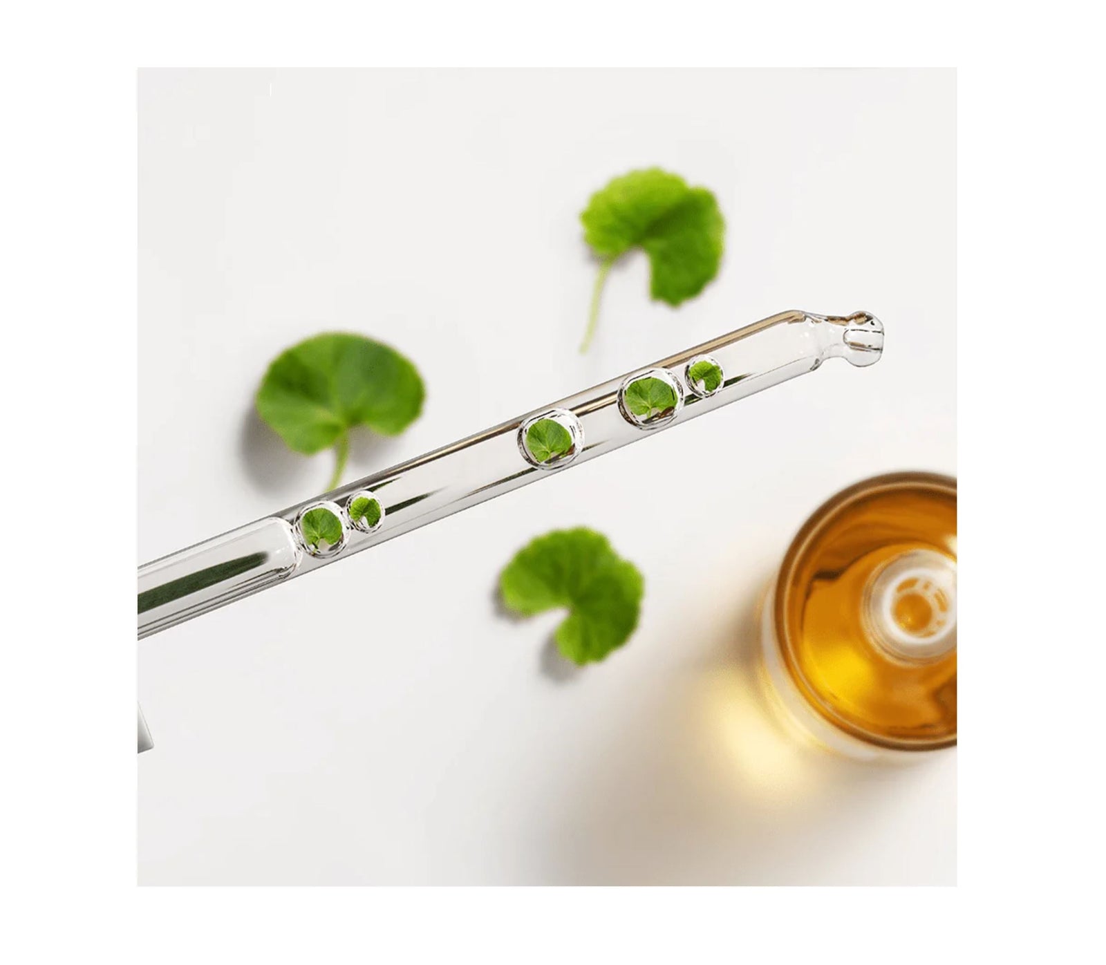 Madagascar Centella Ampoule