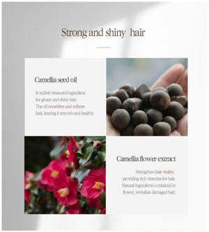 Herbal Hair Loss Control Shampoo - 500ML