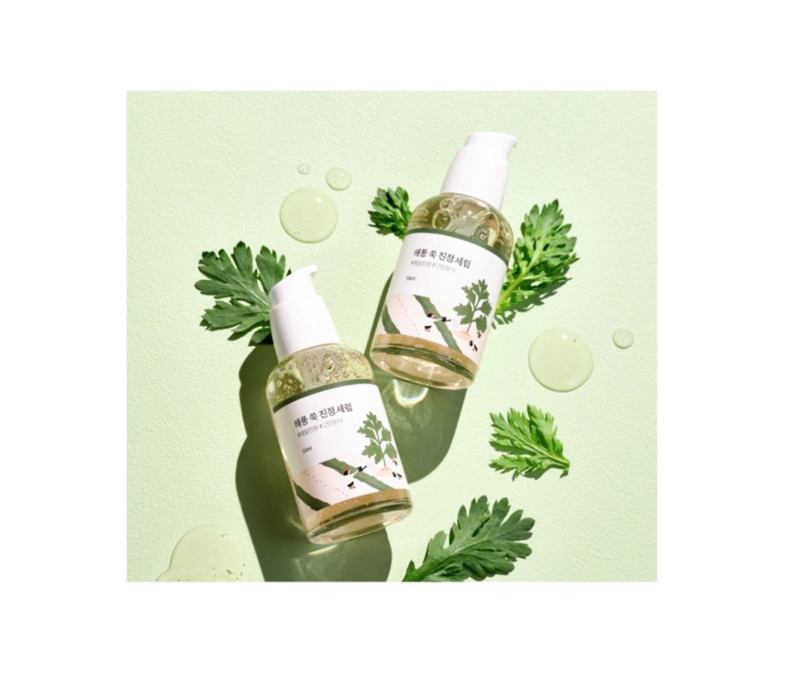Mugwort Calming Serum 50ml