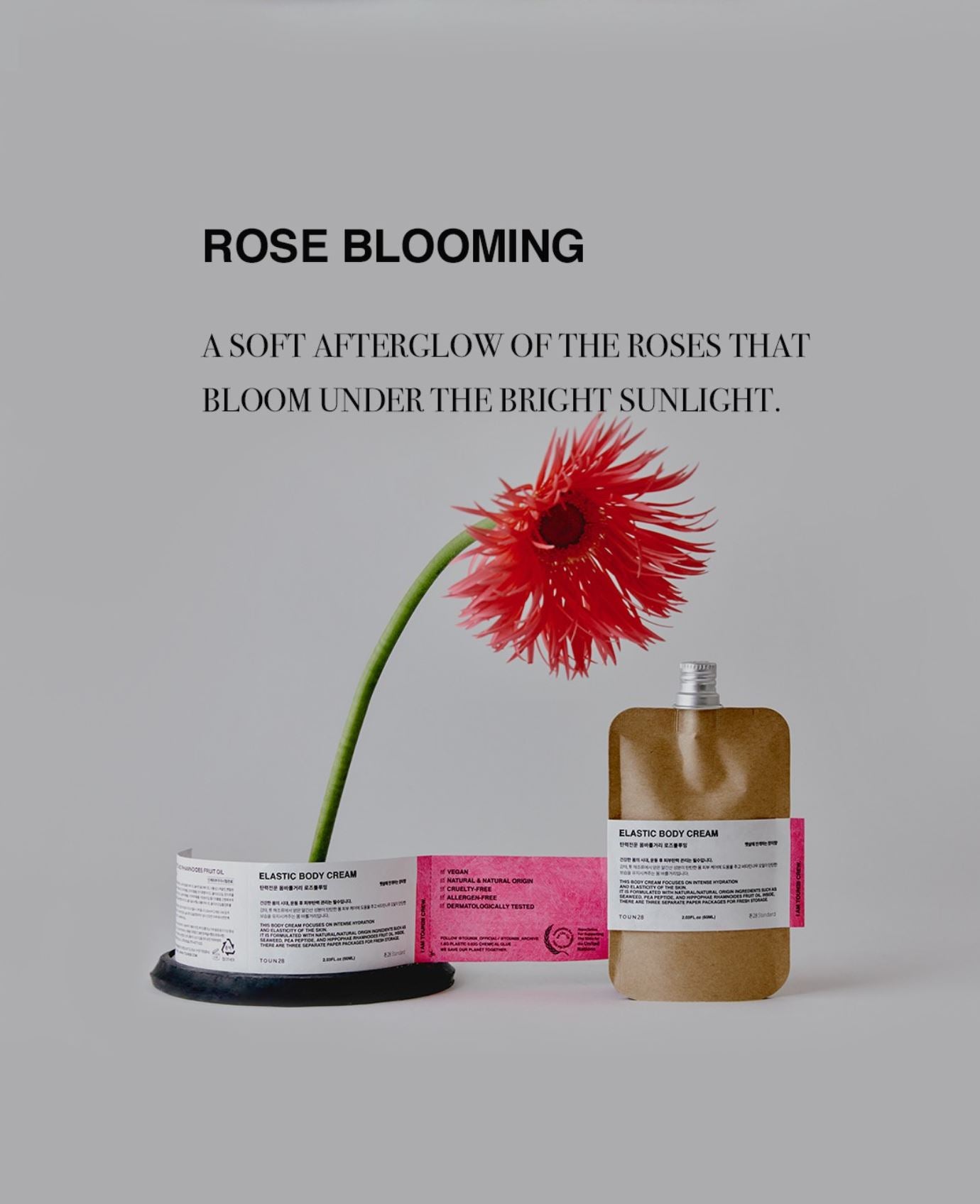 Body Cream Lotion (Rose Blooming , 3EA)